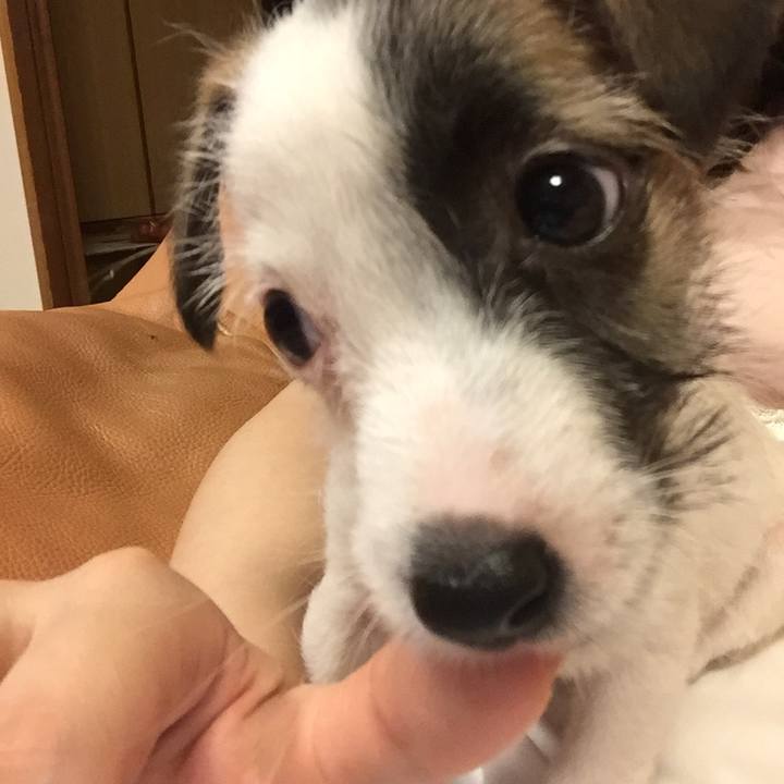 9154470e 94d4 459e bdf7 3644b243c89e