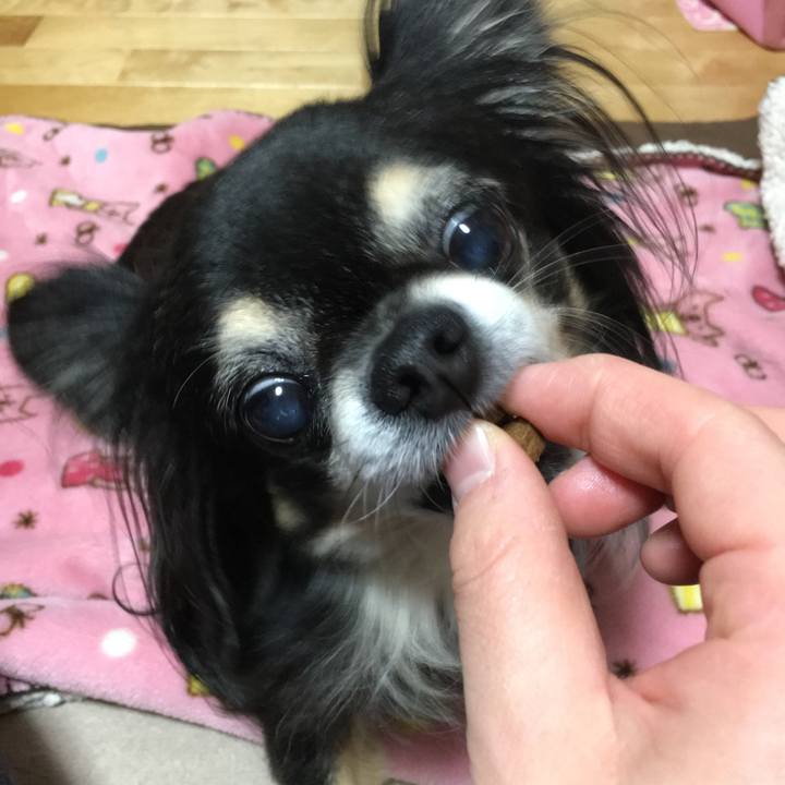 91546d5d 12d3 4832 aac0 8aa5b70f985e