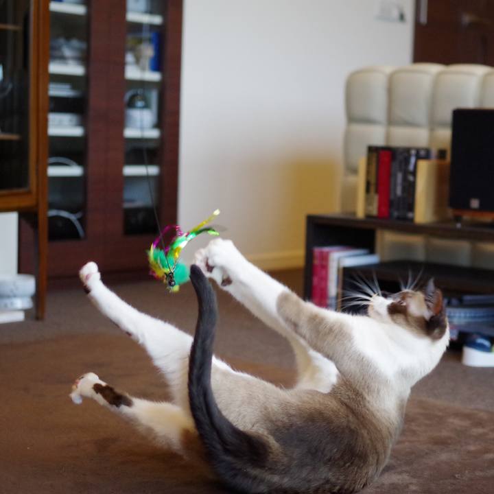 915475d4 9b9a 4a8c a38b dc544844a841