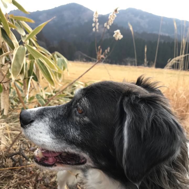 9154ae98 533d 4eef b8f6 8a8e746c263e