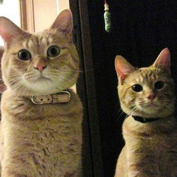 91559b4b e629 4a8a b1dd 3cd0788a7cdf