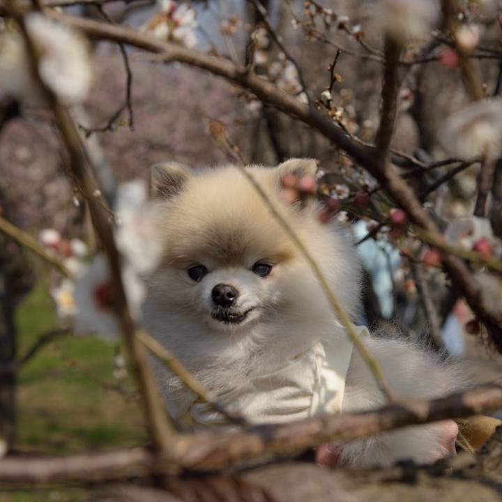 9156004e 6447 42ae bd75 bdb312eeaad4