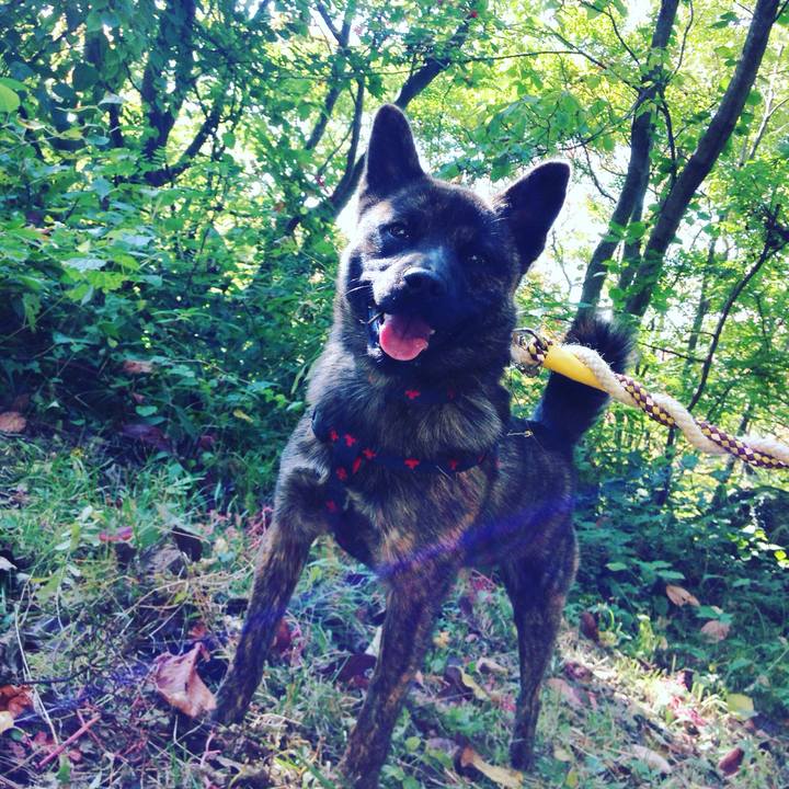 915638f7 0024 45fb aab9 52cb34d20531