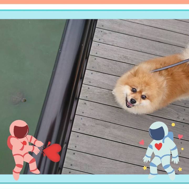 9156db14 cebd 40fb 84e3 728b392c85a9