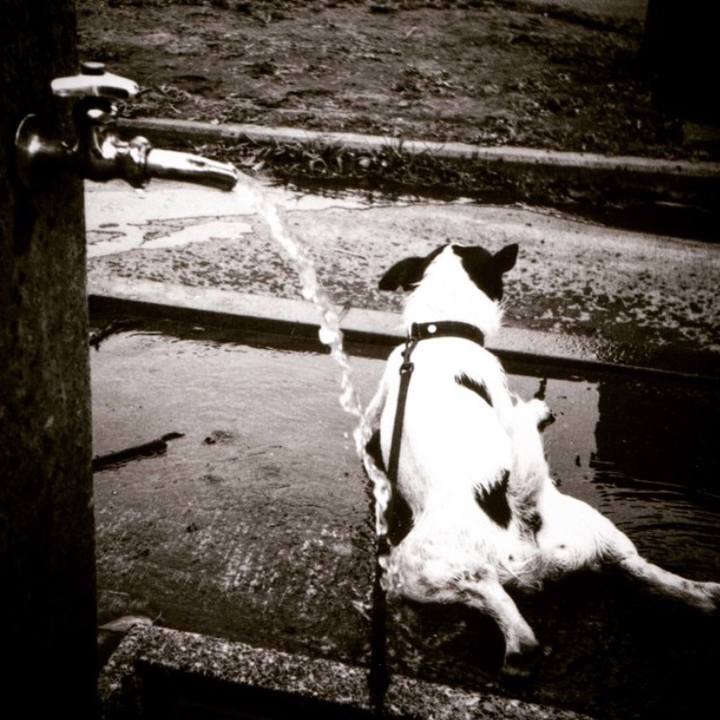 91571601 83de 4b9a 8653 6e338e7c12ac