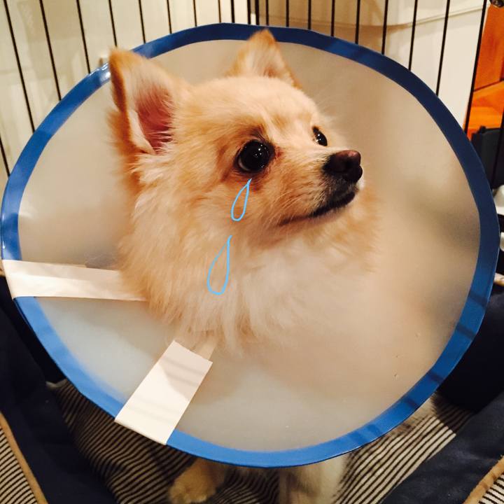 91576d40 04f1 47f9 a69e 98fe9d45fd10