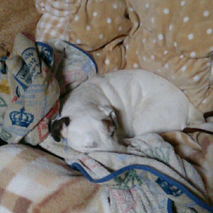 9157a3ba d0e7 4f1b 8a59 0c2ca2e683be