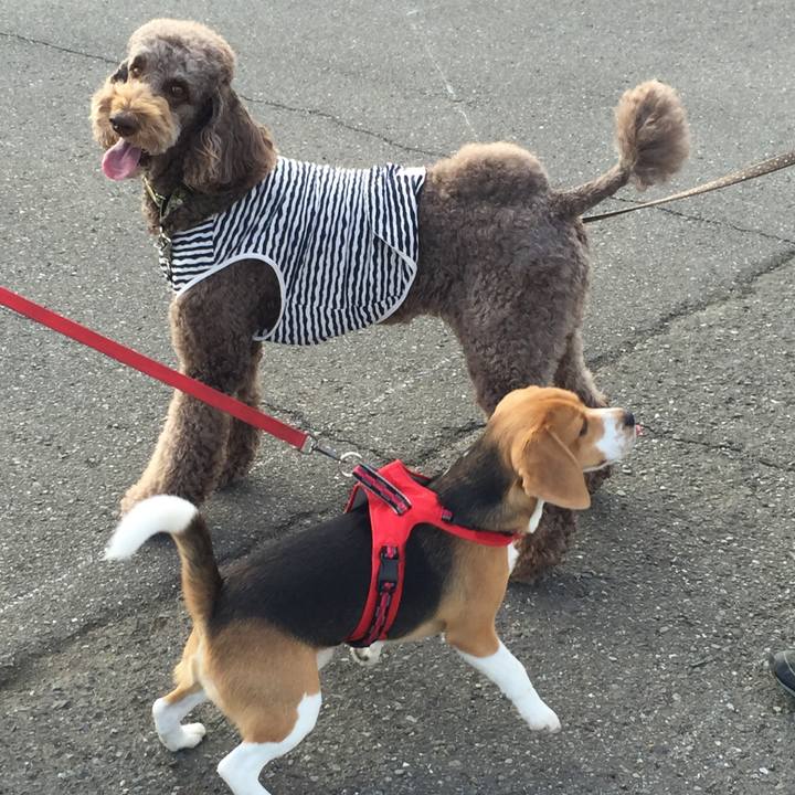 9157d245 f6bf 435a 8b69 80a40bb6e279