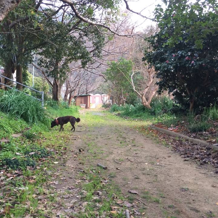 91586cfe a151 4f6b 9ed2 41eac5b1b9c1