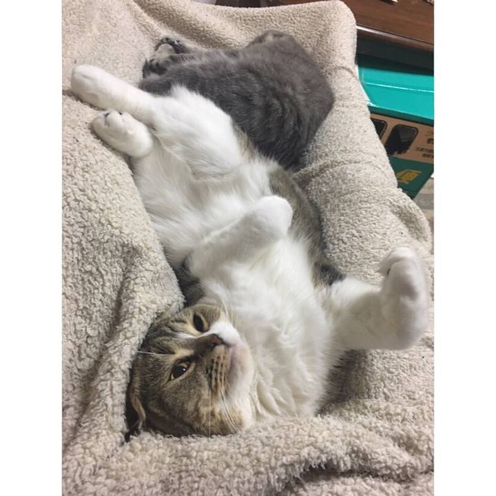 91597ad3 af1c 4155 8130 9e23b226ec16