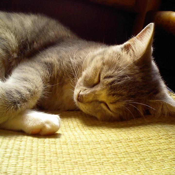 91598775 d2c7 4416 9e13 9019f213d6b8