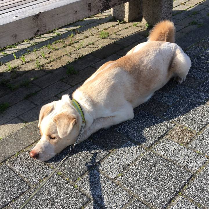 9159b228 3a6c 46ee 9818 efd5d596b671