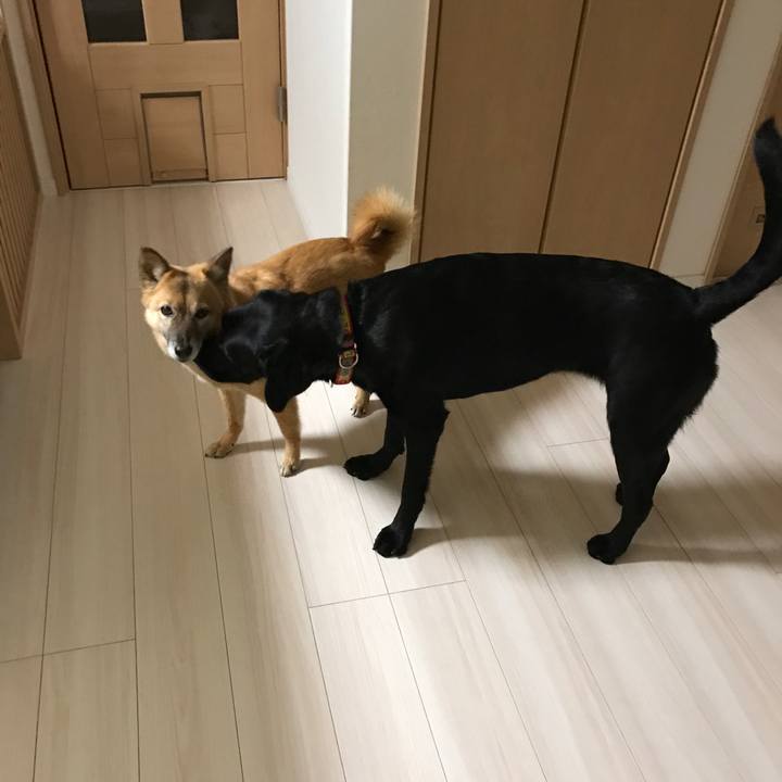 915a7409 b8df 4b64 ba15 7c8e24c4594c