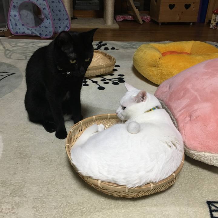 915ae5ff 36b5 4176 9a3f 2ca05dbb5d0d