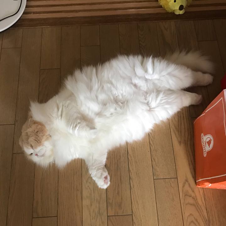 915af5e9 2f38 4d5d 981c d74b8c637a74