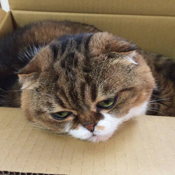 915b7d1a eeb4 42a5 bb62 4ead570eb0b4