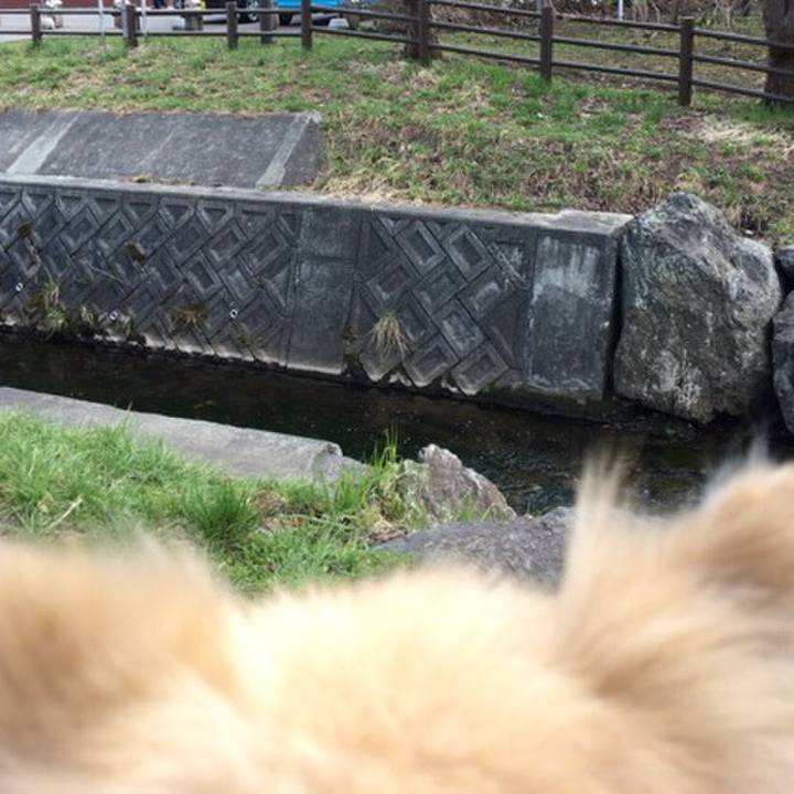 915ba911 f41c 4878 91dc 3d33b083987a