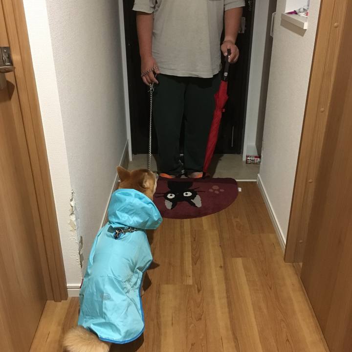 915c759d bde1 4fbc ae29 f4aba2d16d8c