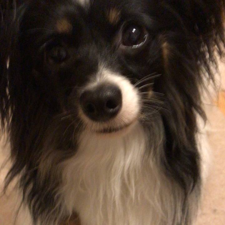 915d5eb8 e0ee 4e2f a395 61ccbfc2122e