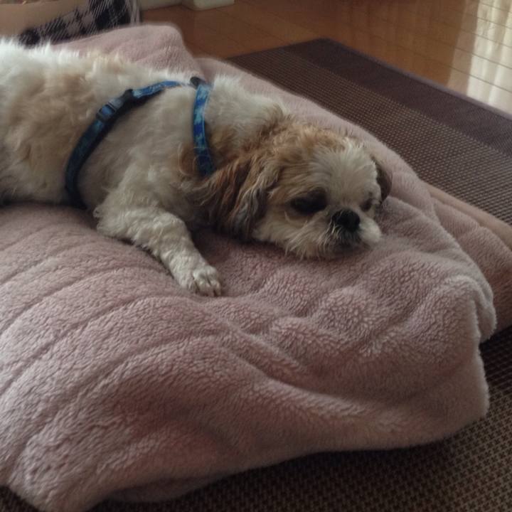 915dc80a 556a 4bb0 90b8 dce20e55bb71