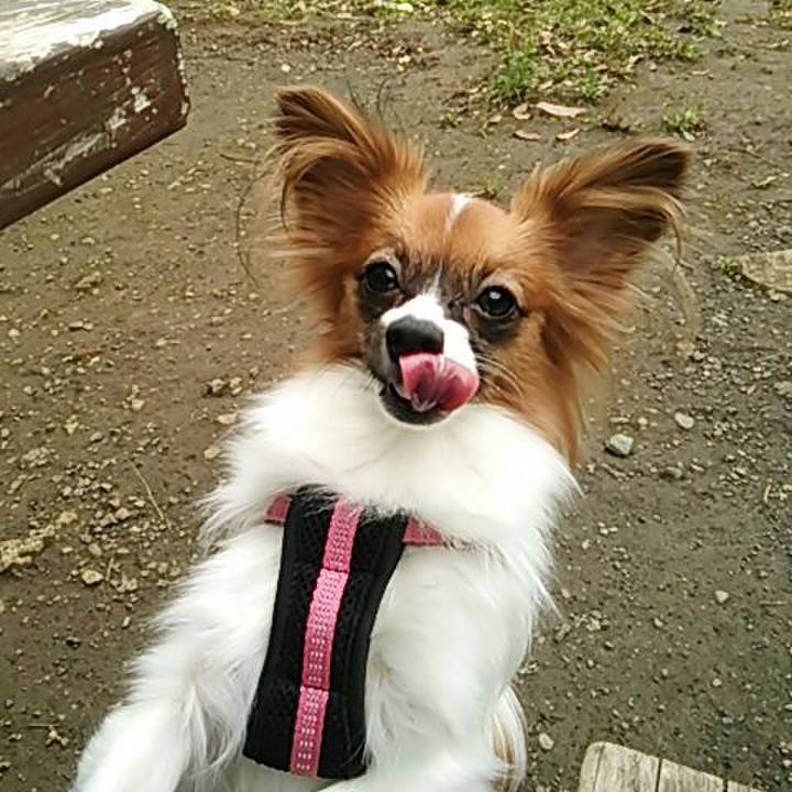 915f1682 8406 454f b402 71048b71283c