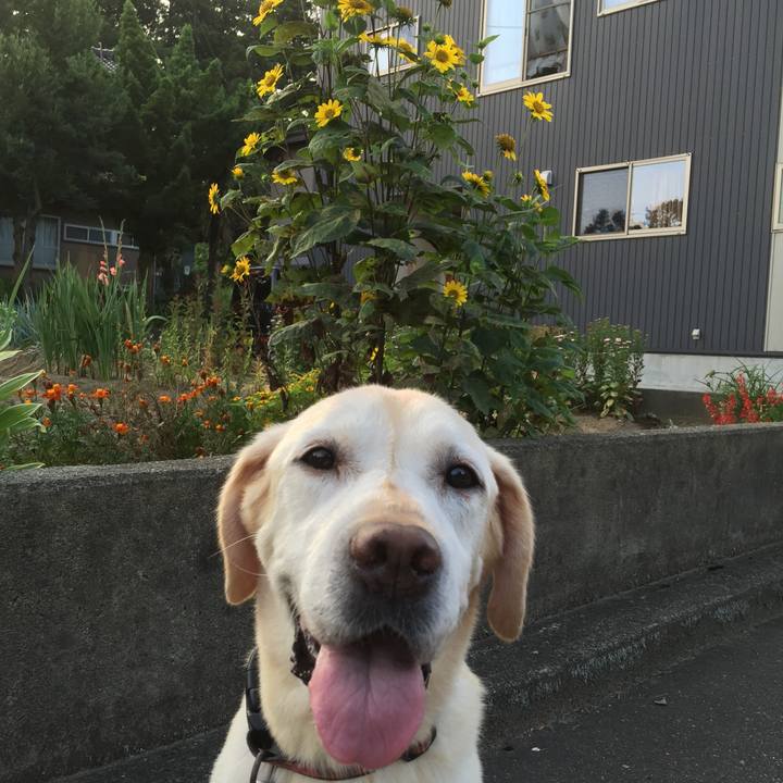 915f1dbf aa9c 4532 801d 6e21dd72d275