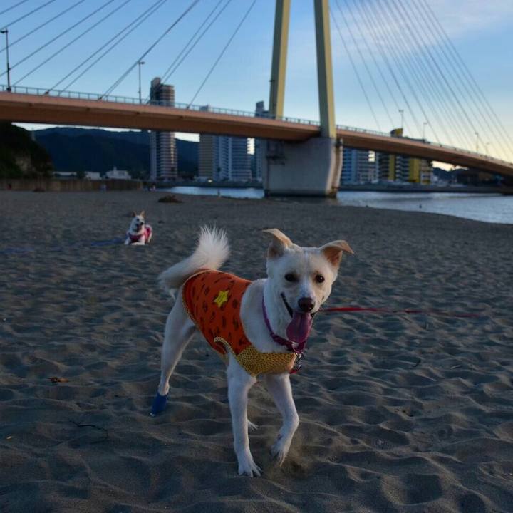 915f1f7c 50a4 4e88 aef3 3e734a227bed