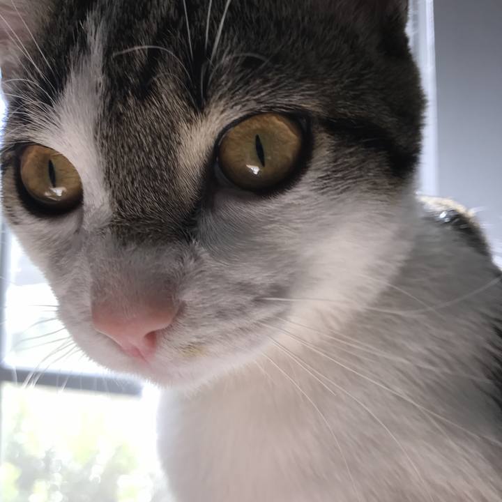 915f4a6d 17ee 4602 8acb 47f4bd35bc78