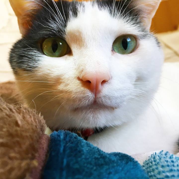 916015e0 260a 41f9 90e6 5393a8c924a9