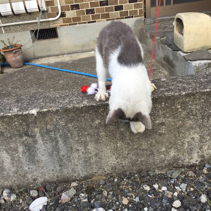 91604e00 de74 4070 b88e 1a46fc72234c