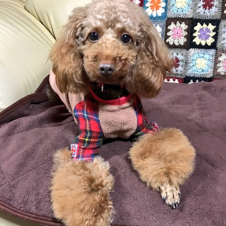 9160723d 4fd8 442a a6cb 1aa63c056f58