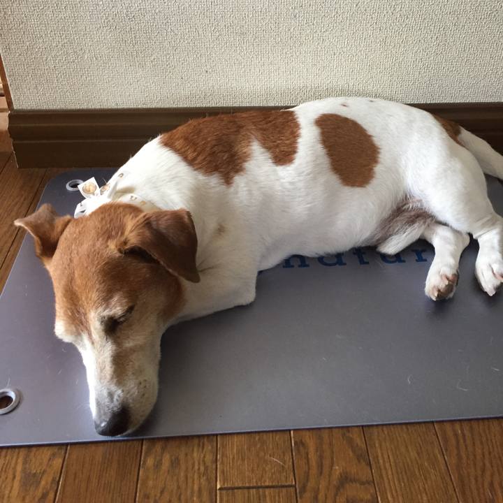 91608110 fd8a 41f6 b774 e1fc246d893b