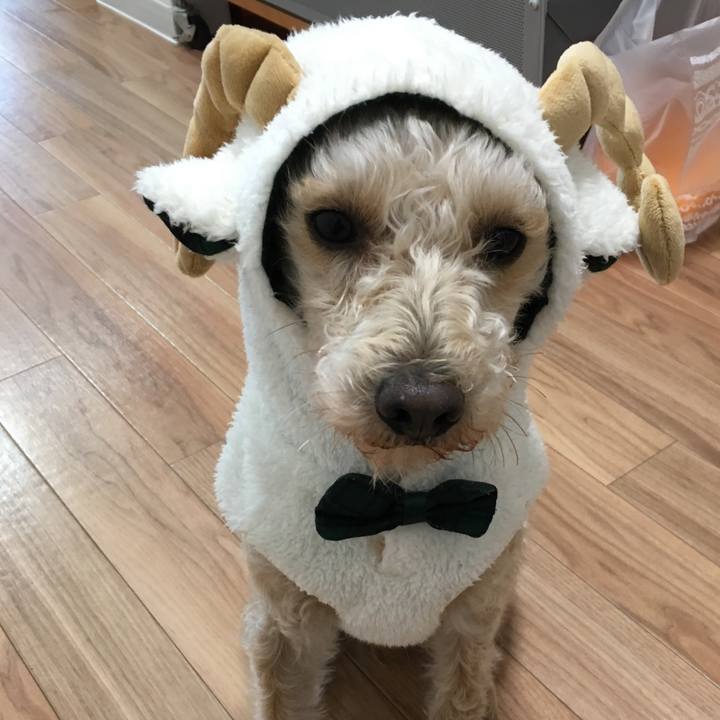 9160fe8b e7de 4de4 95f2 cc08b12eeb47