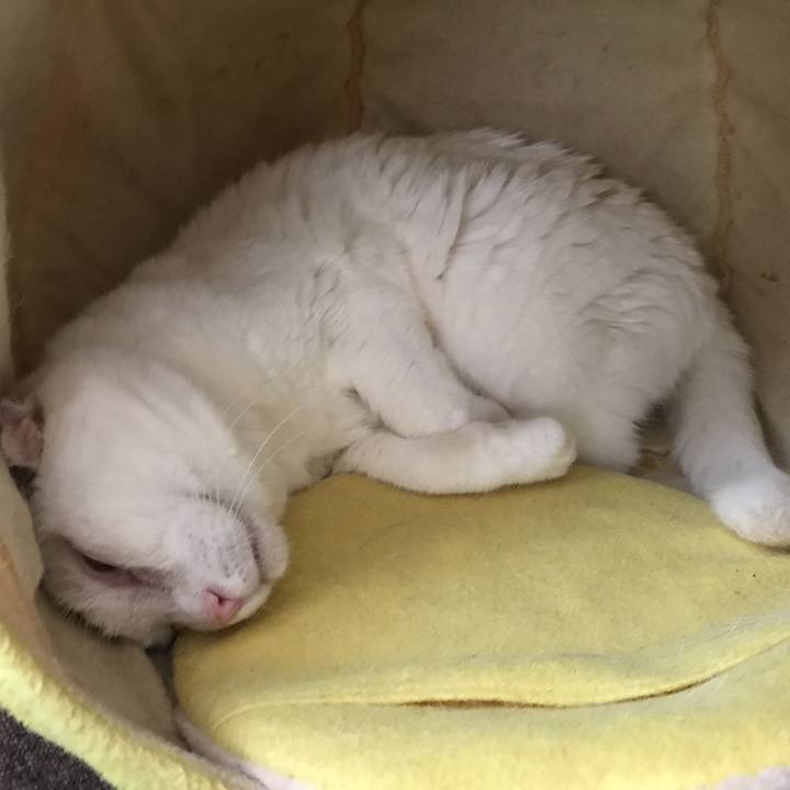 916105a5 4a1a 4ec0 98f3 ff795ffbcd49