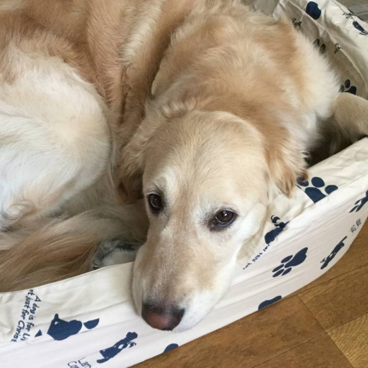 916148a4 cfa0 464b 9872 eab5ea1af81d