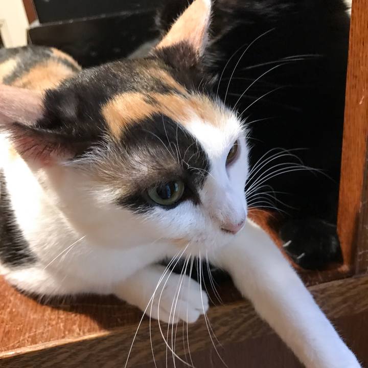 9161e342 d766 4406 b095 588c36c4cad7