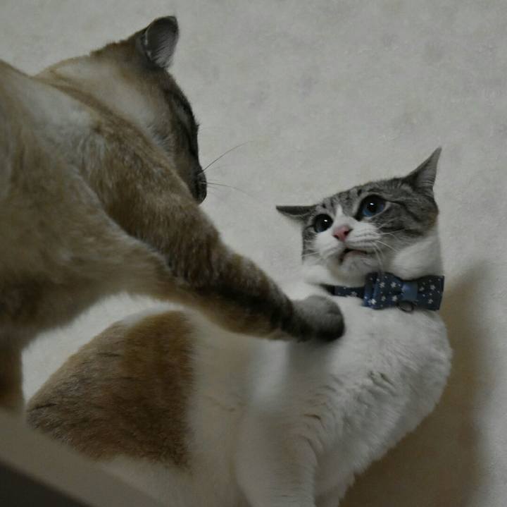 91624b2a 8a5a 4caa 9ca0 df08499ba7c4