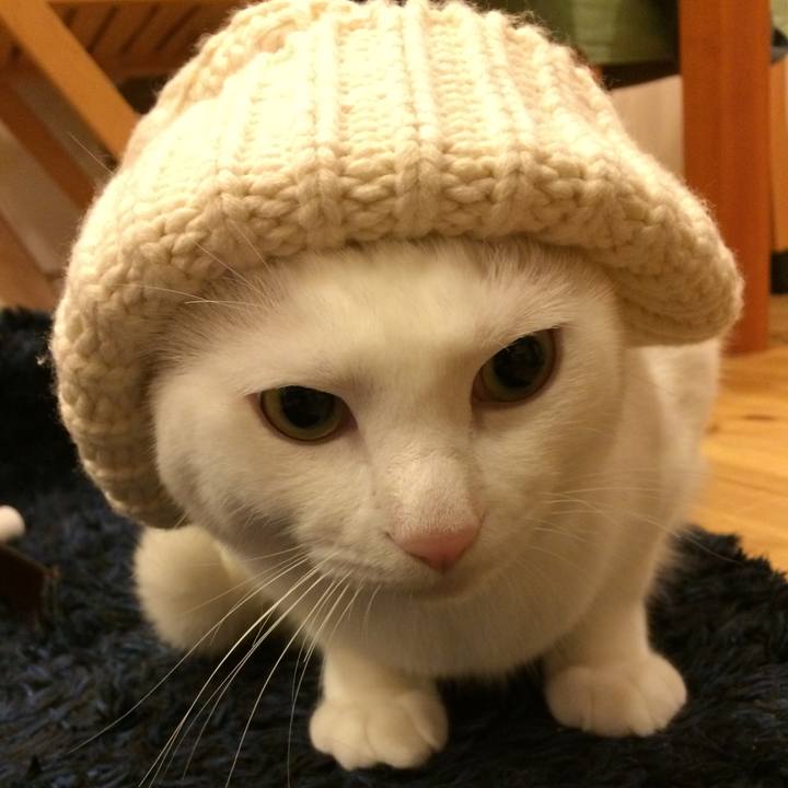 91624fb9 74a5 4b75 a525 a3189b0866d8