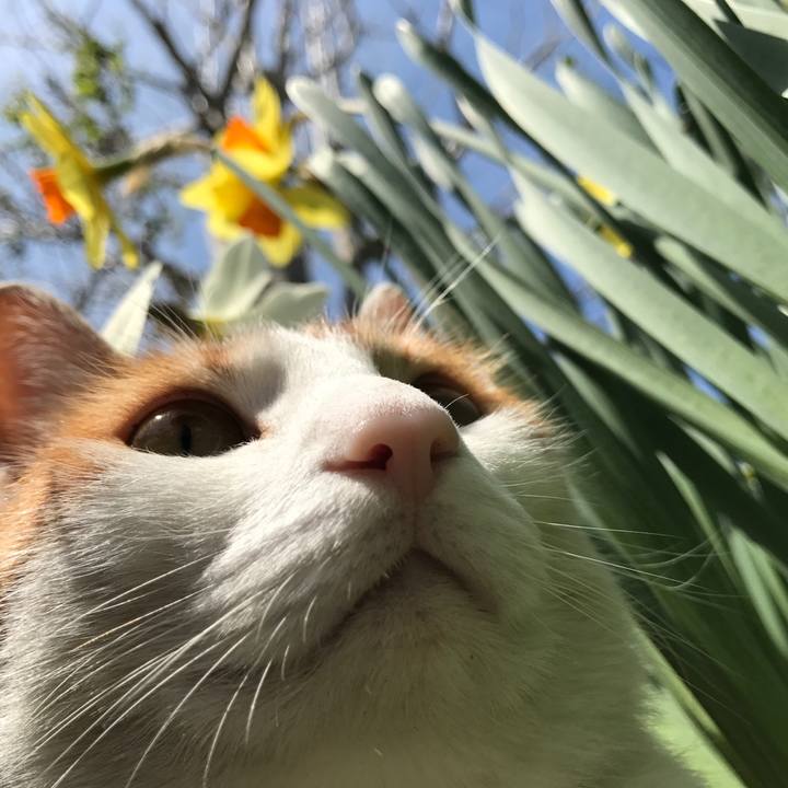 91627603 3a90 4657 9622 80ed788c7ef3