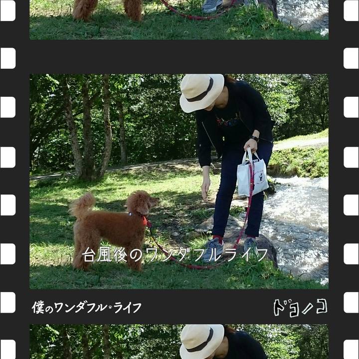 916304cd 9ef3 44d0 bed6 39dda3ef908f