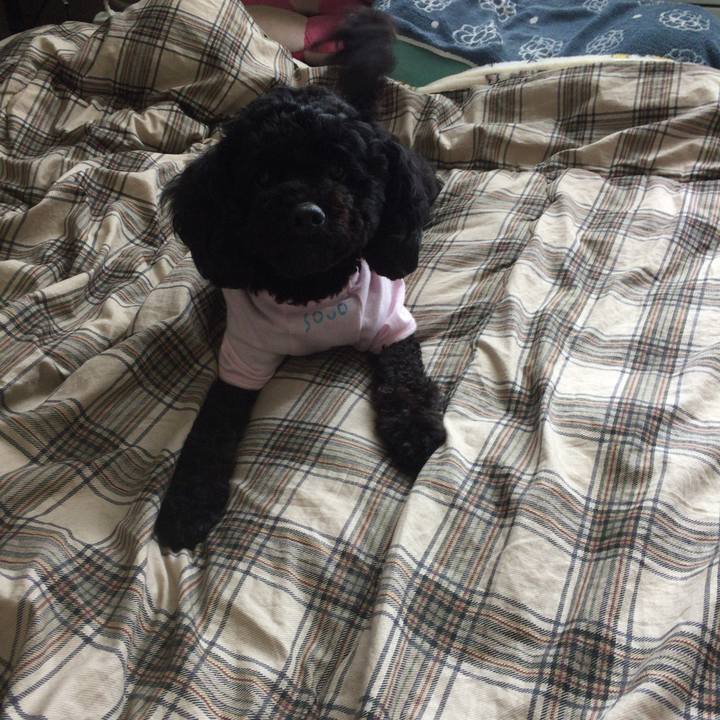 916304ef 3c59 4b48 be03 765cba20a48b