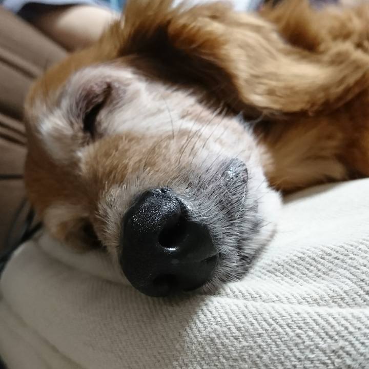 91631cc7 73e5 4e66 9fdb 24b4645276da