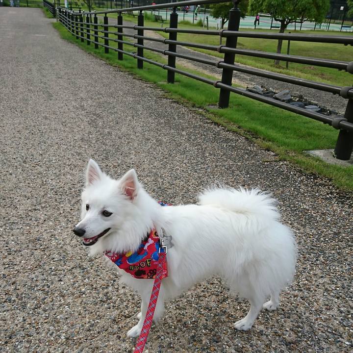 9163745c a37d 466d 8f09 141e6059e669