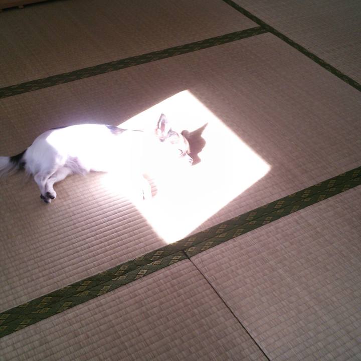 9164c2dd 8dcb 4867 a0d0 a9a9a5efee07