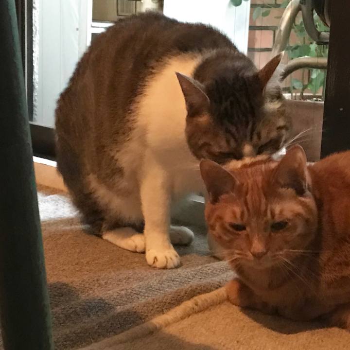 91662c1c 8ce7 42d4 bd70 42eca944f429