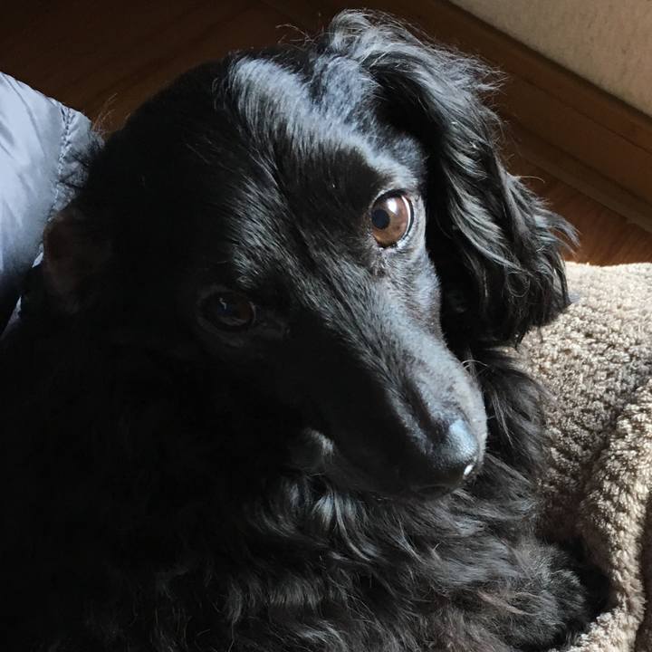 91668742 de59 4c38 9339 befef8e233f2