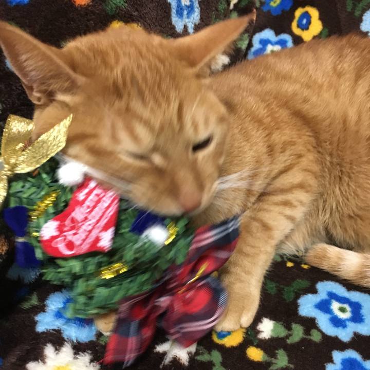 9166ab7a 0a52 4cea 9182 7c1ad5297981