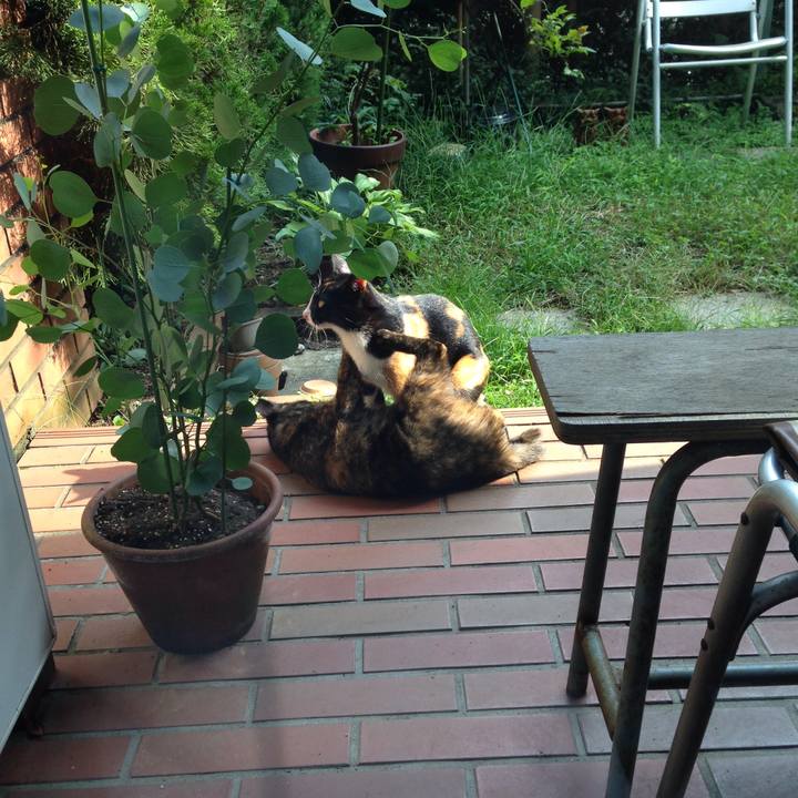 9166ba99 0a55 49b8 a5a9 c66d074889f3