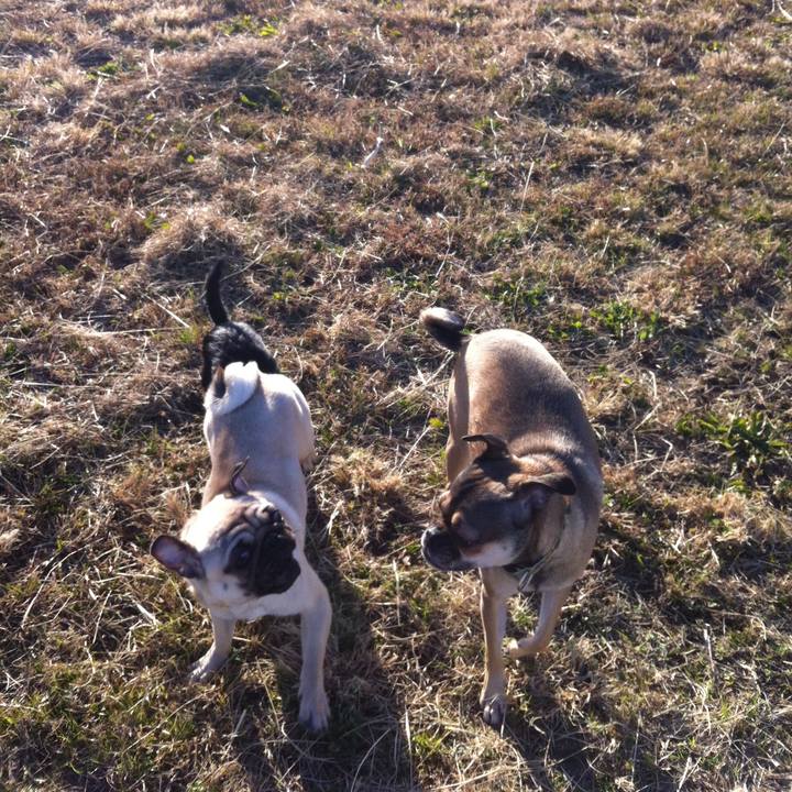 9167041a 4ff2 4d60 8d4f 7d3772283d5b