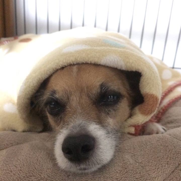 9167414c 0dd2 4214 9e72 a2f5d467f8c4